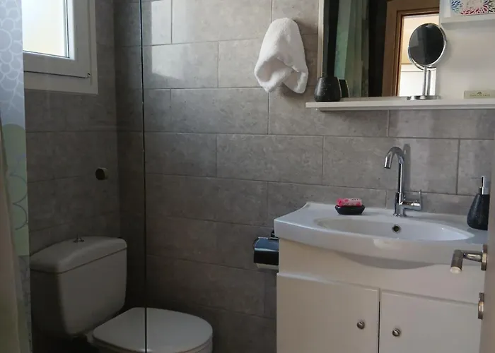 Apartment Ioana Sea View *